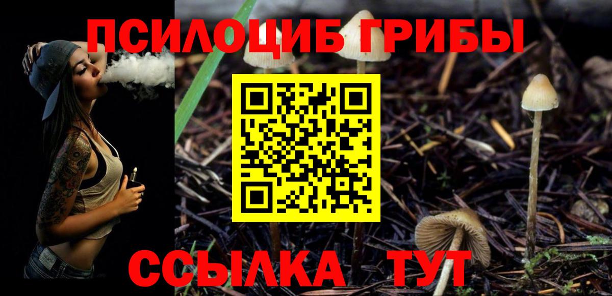 Псилоцибиновые грибы Psilocybe  Вход с VPN  магазин  наркотиков  Апшеронск 