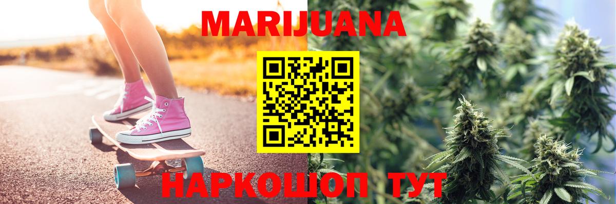 Бошки Шишки планчик Апшеронск